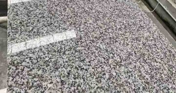 海东 芙蓉白光面