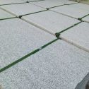 海东 芝麻白斧剁面