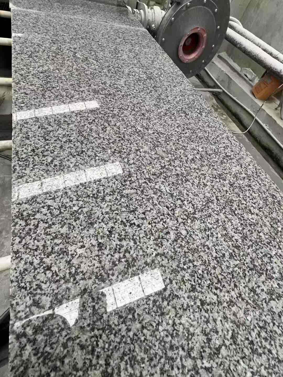 海东 芙蓉白光面