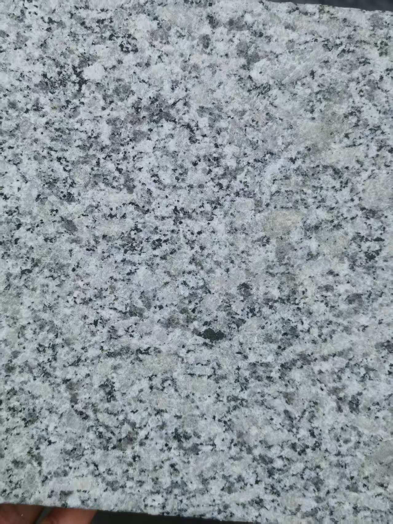 海东 芙蓉白火烧面