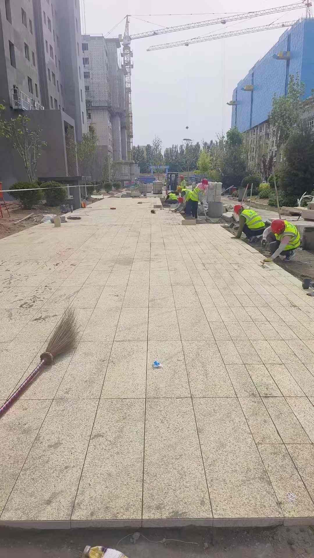 海东黄金麻荔枝面地铺案例