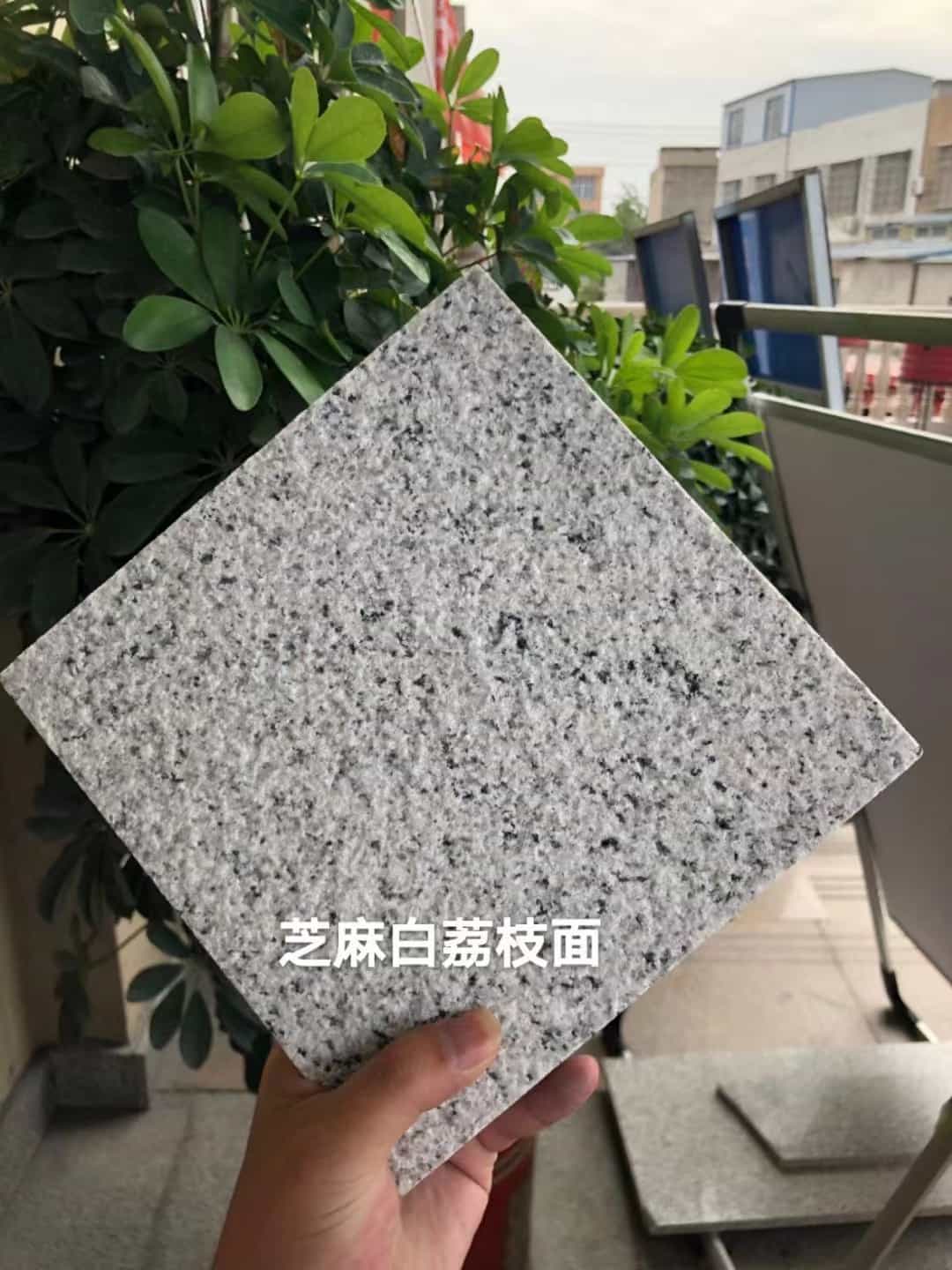 海东 芝麻白荔枝面干挂
