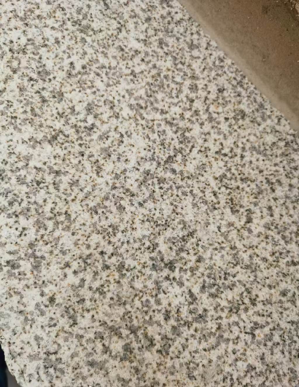 海东 黄金麻中黄光面